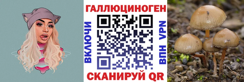 Псилоцибиновые грибы Cubensis  Чердынь 